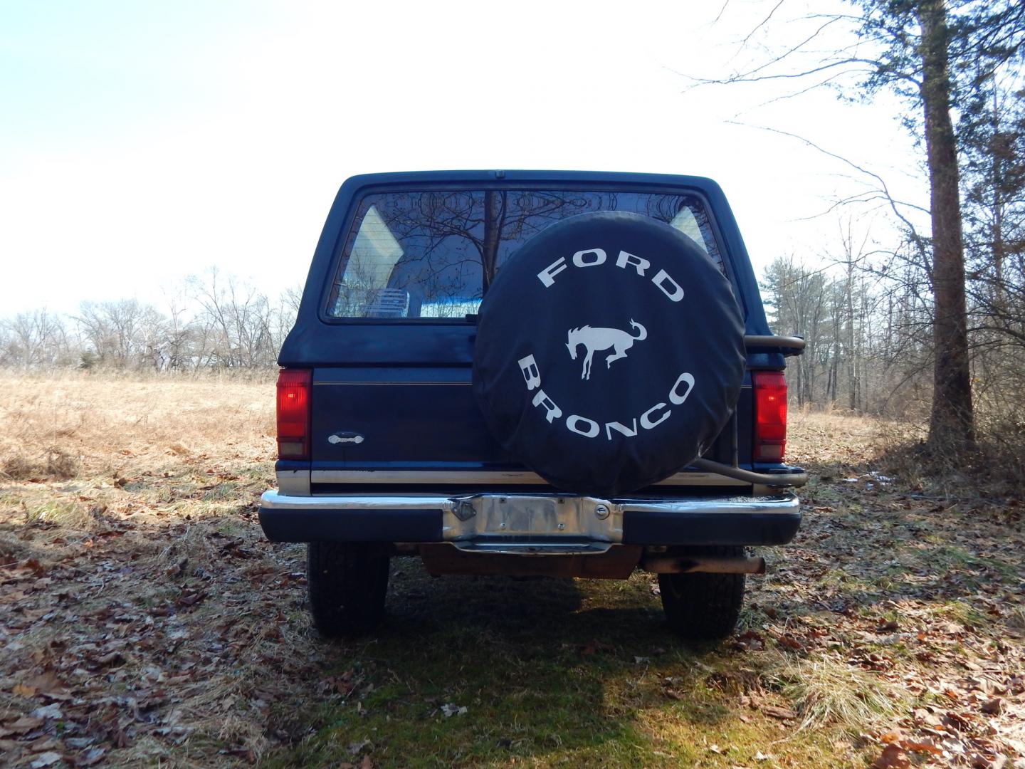 1988 Blue /Tan Ford Bronco II 4WD (1FMCU14T6JU) with an 2.9L V6 OHV 12V engine, 4-Speed Automatic Overdrive transmission, located at 6528 Lower York Road, New Hope, PA, 18938, (215) 862-9555, 40.358707, -74.977882 - Here we have a 1988 Ford Bronco 2 with a 2.9L V6 putting power to a 4x4 automatic transmission. Options include: tan cloth interior, heat/AC, XD Vision radio, power windows, cruise control, tilt steering wheel, front/rear defrost windows, spare tire cover, 15 inch alloy wheels with 4 Solarus AP tire - Photo#3